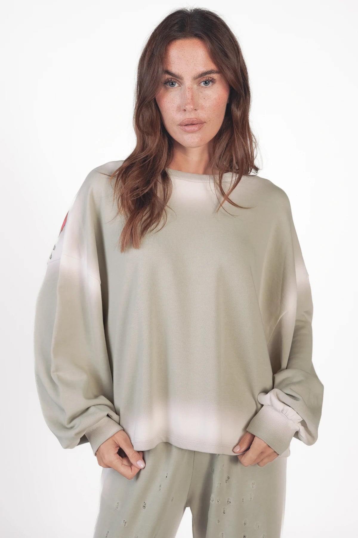 #Color_pussywillow gray