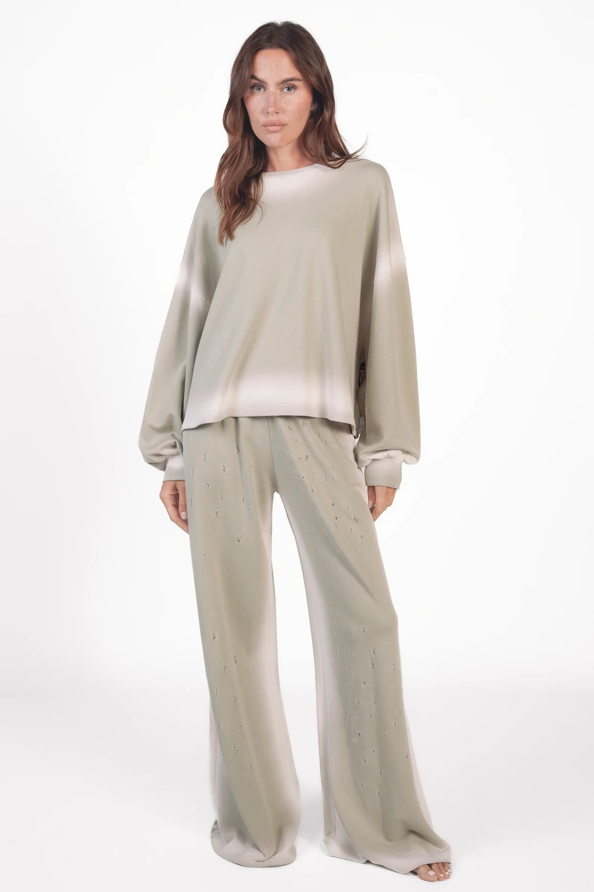 #Color_pussywillow gray