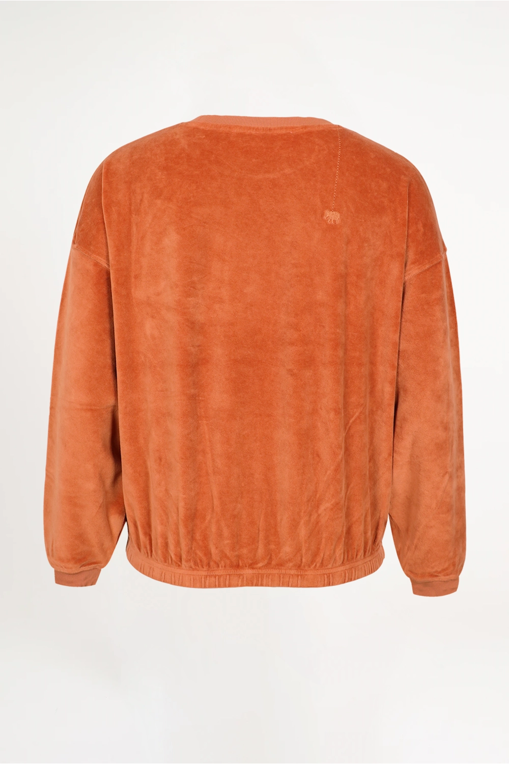 Maryland terry sweatshirt - READY