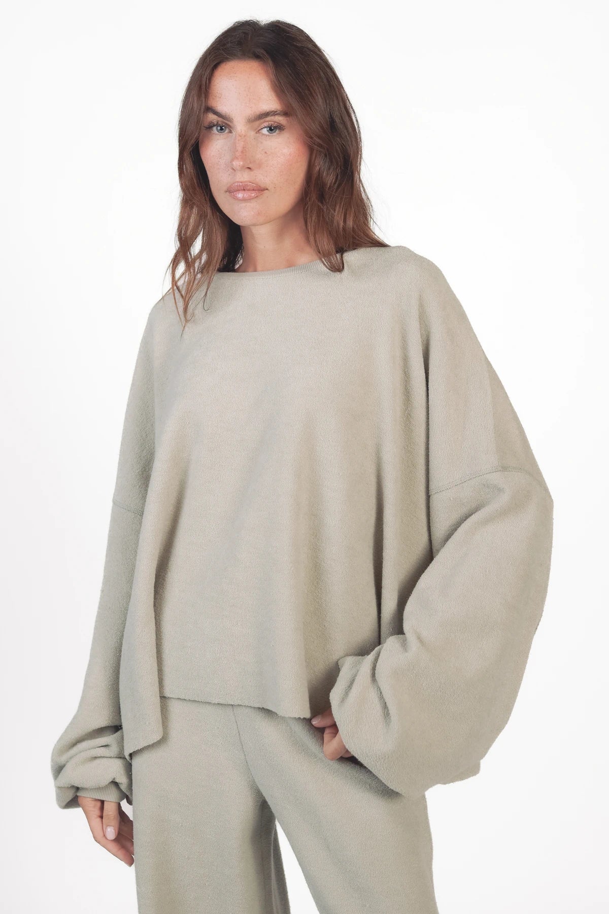 #Color_pussywillow gray