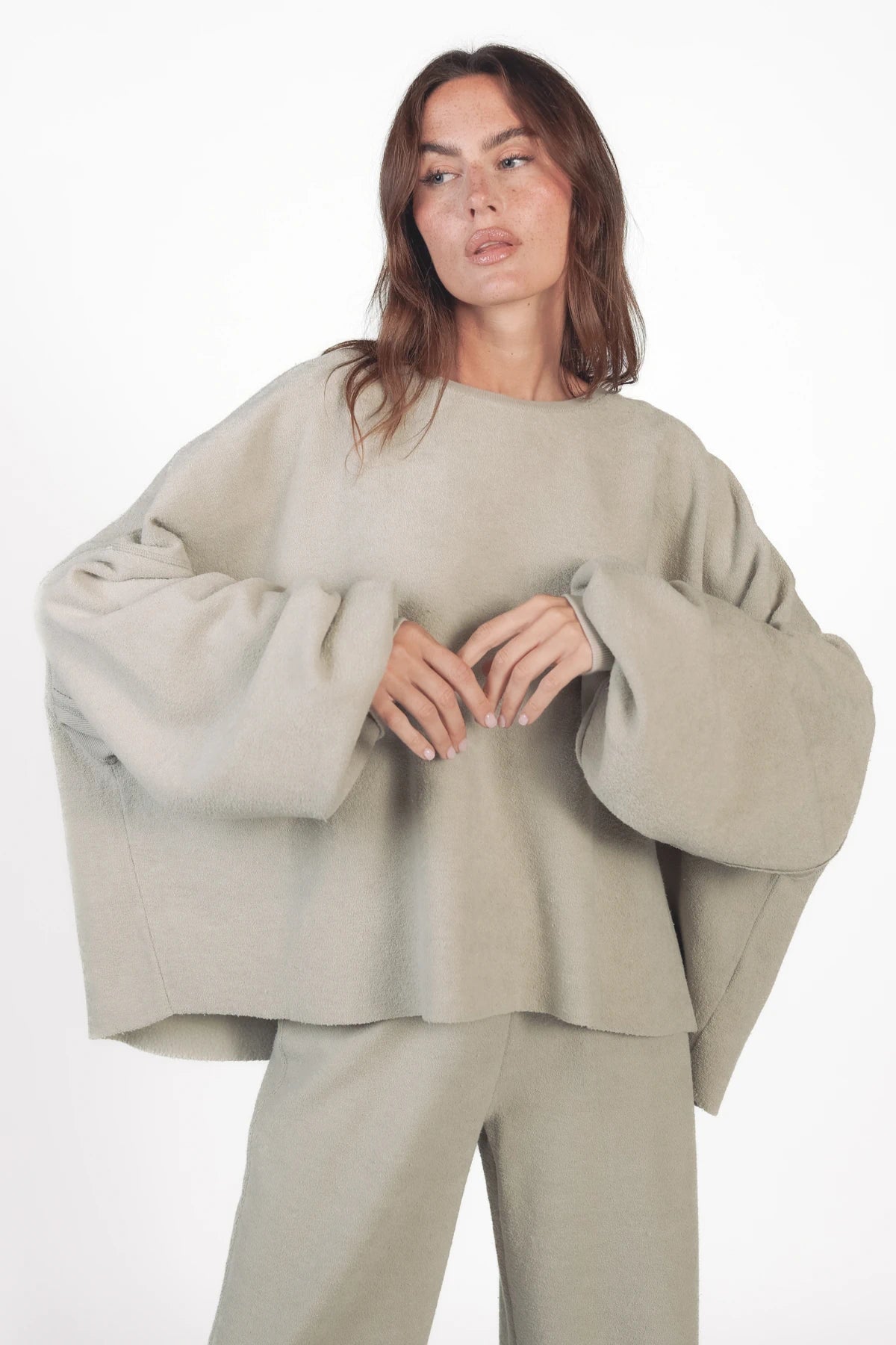 #Color_pussywillow gray