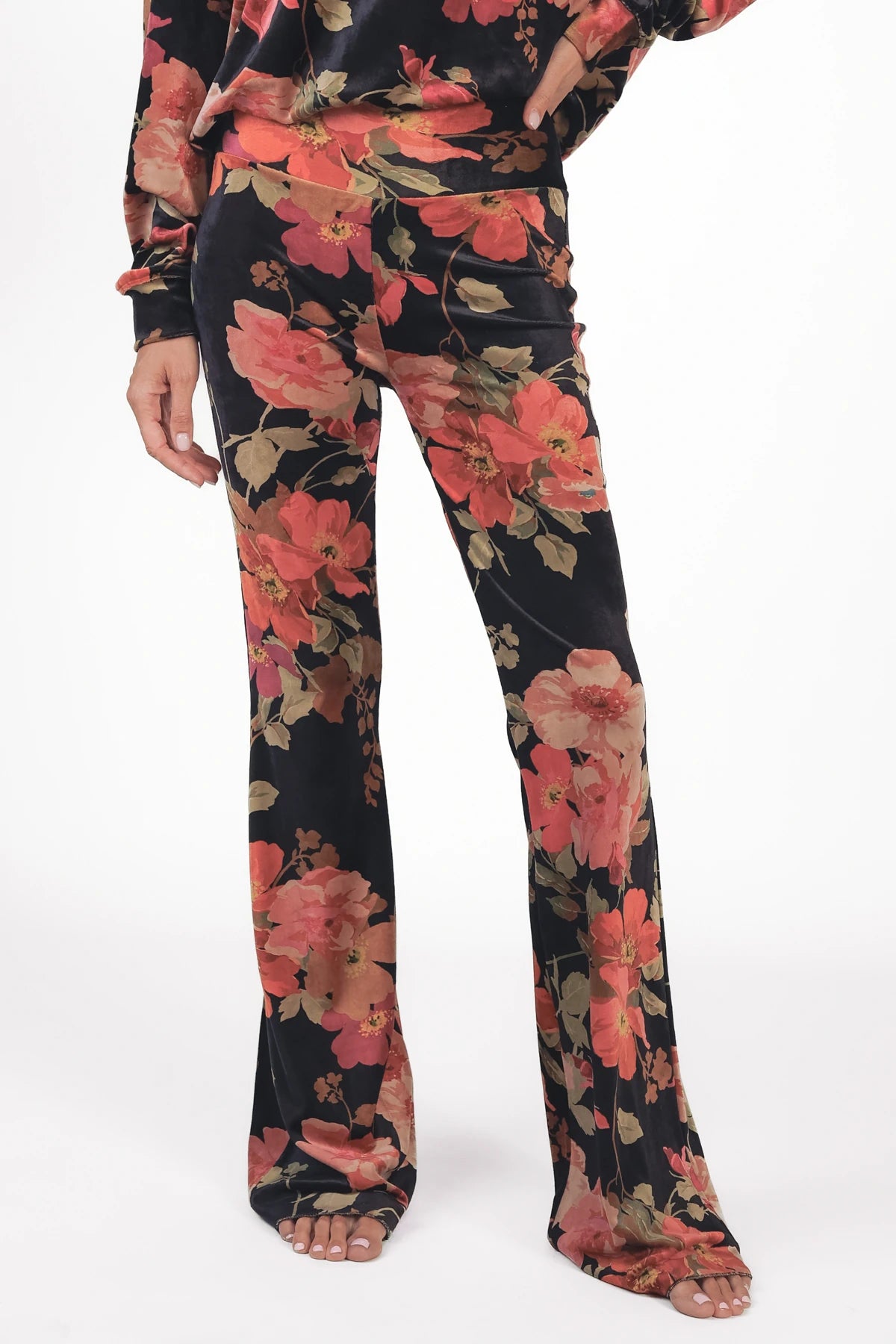 Velvet Schlaghose floraler Print Kala
