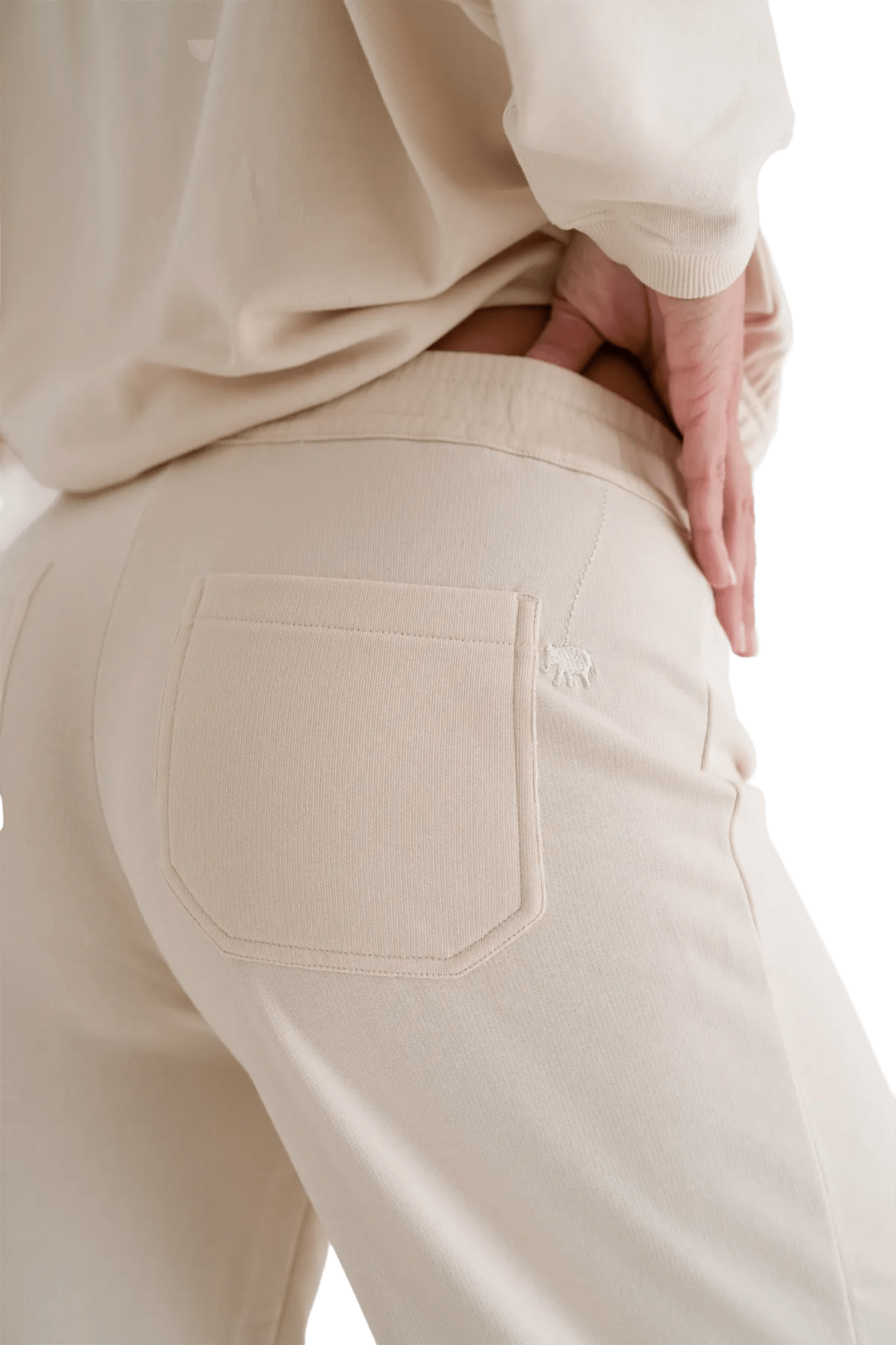 Albany pants