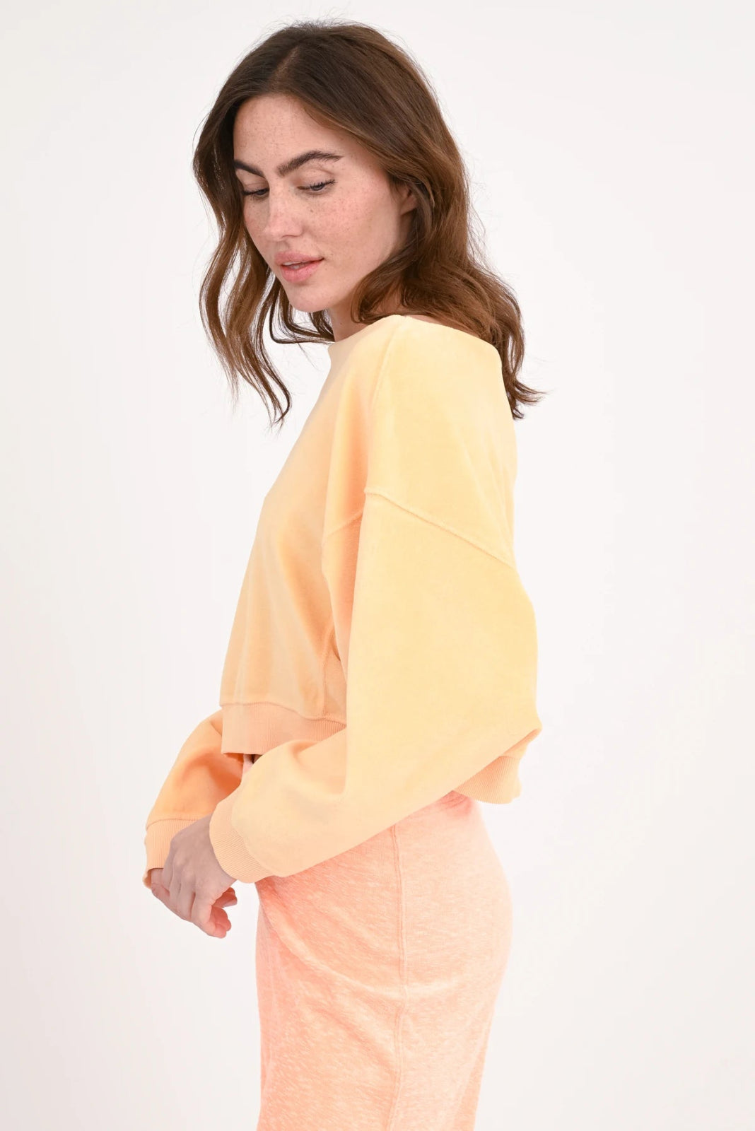 Velvet Crop Sweatshirt Marti - Love Joy Victory